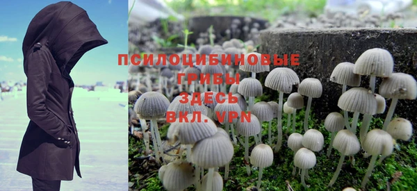 ешки Иннополис