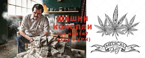 соль ск Инта