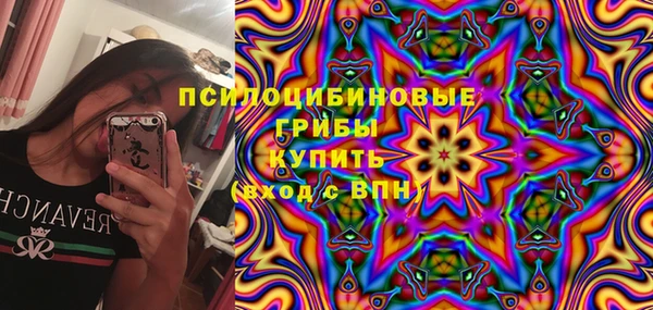 соль ск Инта
