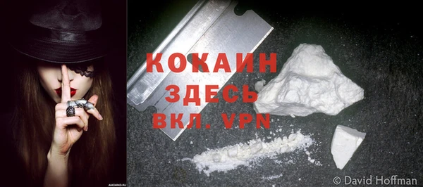 соль ск Инта