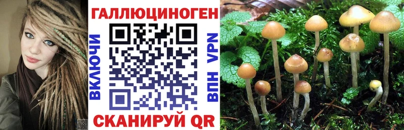 Псилоцибиновые грибы Cubensis Ишимбай